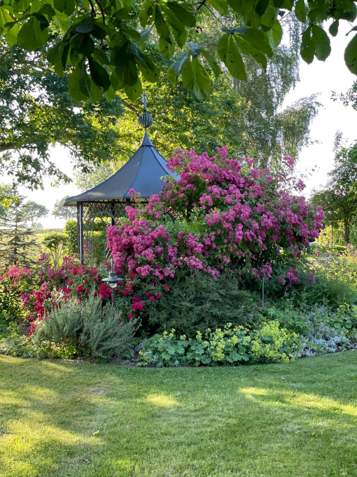 Villa Kronsteert Dahme Dış mekan fotoğraf
