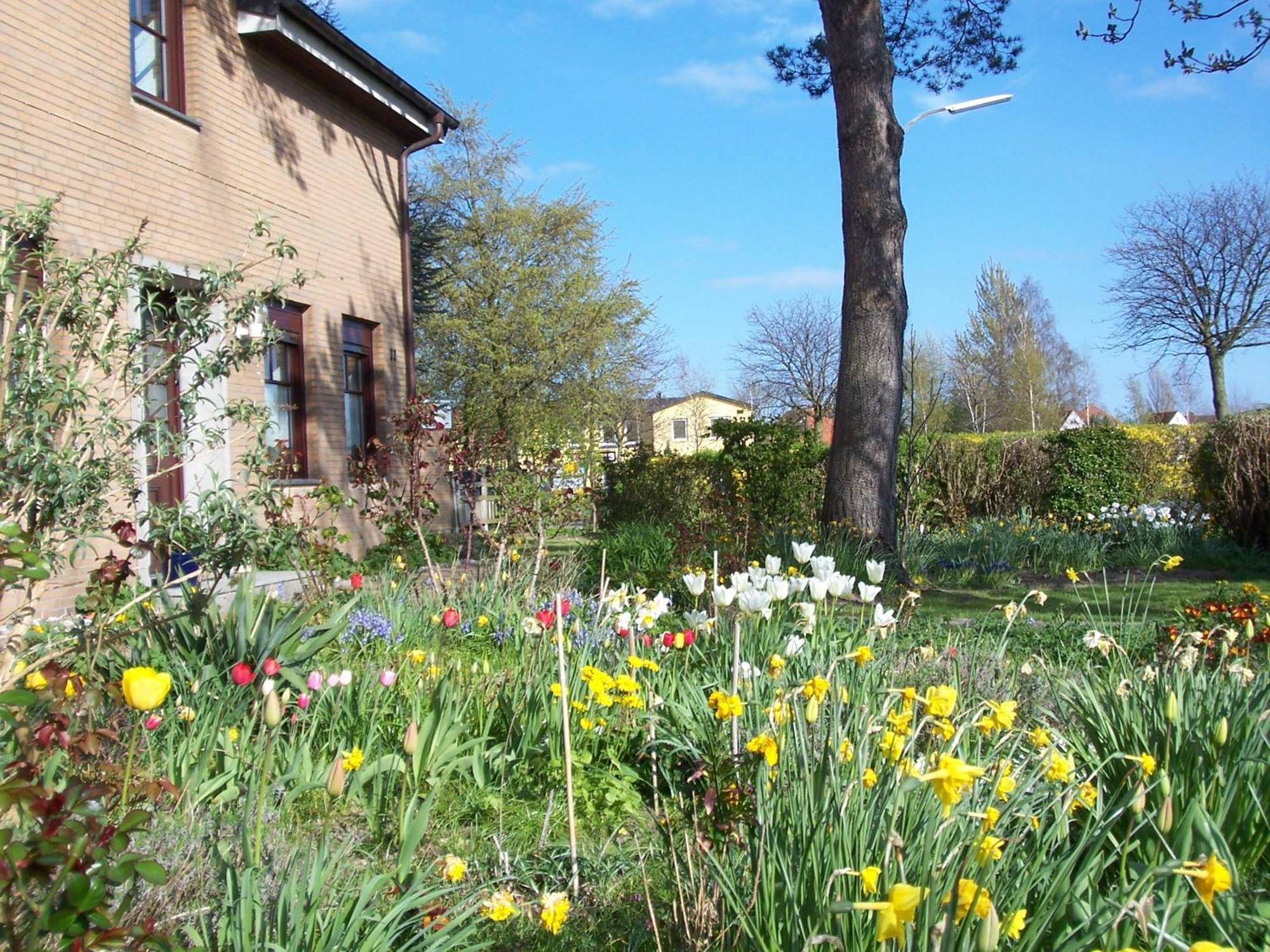 Villa Kronsteert Dahme Dış mekan fotoğraf
